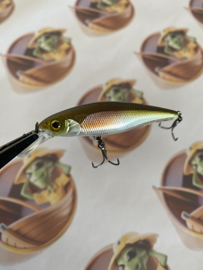 Isca Jackall Squad Minnow 65SP Cor HL Lam