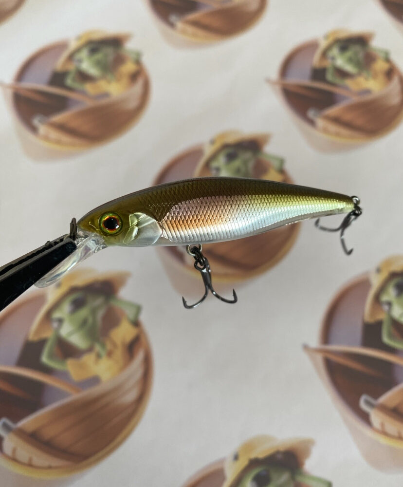 Isca Jackall Squad Minnow 65SP Cor HL Lam